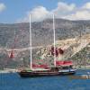 turkey4304