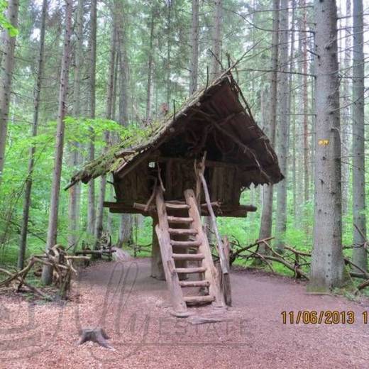 Сказочный лес (Лес сказок) Природного парка Тервете.