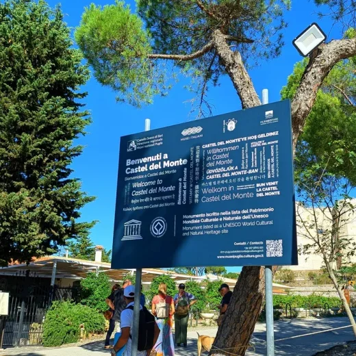 Автобус Андрия - Замок Дель-Монте