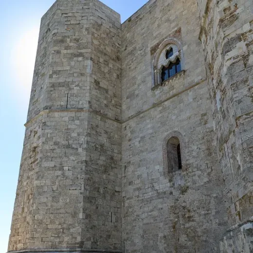 Архитектура замка Дель-Монте