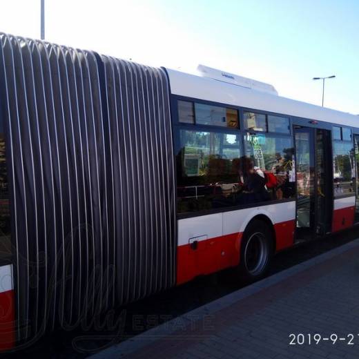 Перед посадкой в автобус из аэропорта в Прагу.