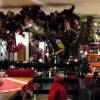 bremen-2010-100-edelweis